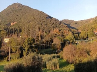 Appartement Monsummano Terme Environnement 36