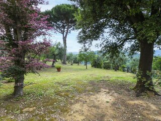Appartement Monsummano Terme Environnement 36