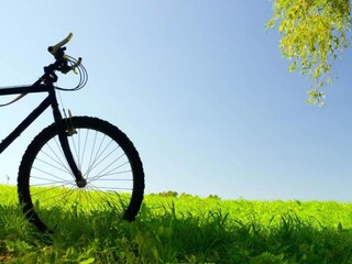 Casa per le vacanze Ostuni Ambiente 40