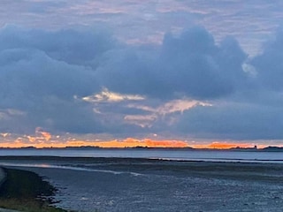 Ferienhaus Sint-Maartensdijk Umgebung 36