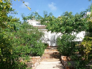 Type de propriété : Chalet São Bartolomeu de Messines Enregistrement extérieur 1
