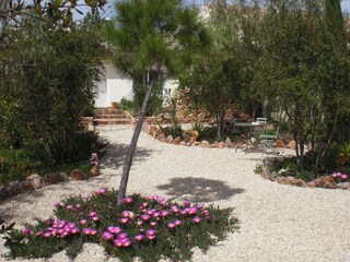 Type de propriété : Chalet São Bartolomeu de Messines Enregistrement extérieur 7