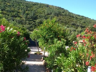 Vakantiehuisje São Bartolomeu de Messines Buitenaudio-opname 2