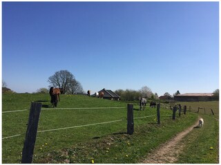 Pferdekoppeln entlang der Wanderwege