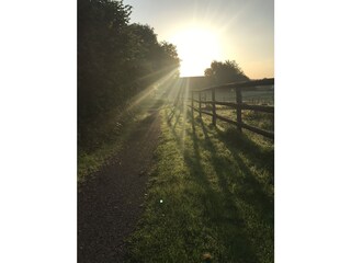 Sonnenaufgang an den Pferdekoppeln in Holzbunge