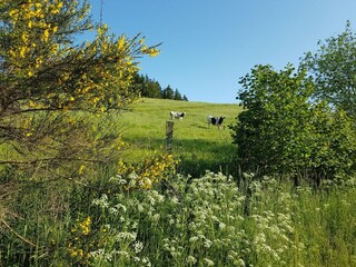 Casa de vacaciones Oberlascheid Entorno 24