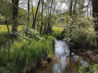 Ferienhaus Oberlascheid Umgebung 26