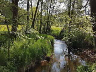 Vakantiehuis Oberlascheid Omgeving 23