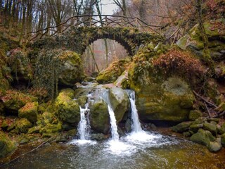 Vakantiehuis Oberlascheid Omgeving 33