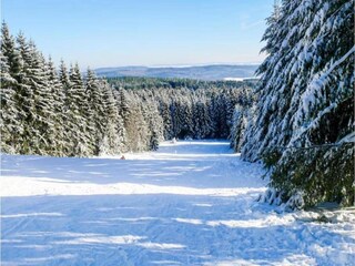 Casa per le vacanze Oberlascheid Ambiente 28