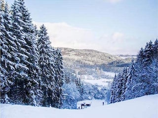 Ferienhaus Oberlascheid Umgebung 35
