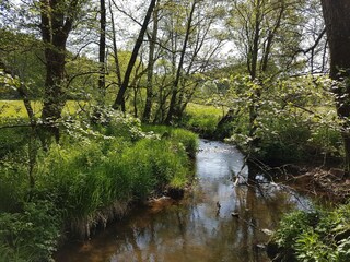 Roulotte Oberlascheid Ambiente 12