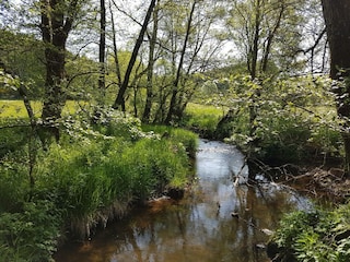 Wohnwagen Oberlascheid Umgebung 12