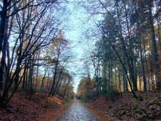 Rulot Oberlascheid Entorno 36