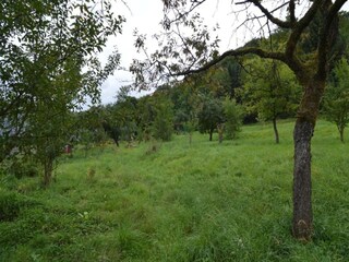 Roulotte Oberlascheid Ambiente 22