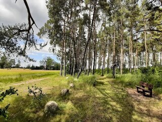 Ferienpark Plau am See Umgebung 27