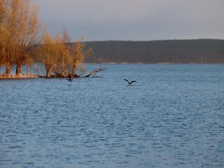 Vakantiepark Plau am See Omgeving 31