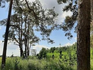 Parc de vacances Plau am See Environnement 39