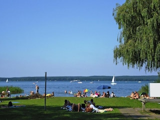 Apartment Plau am See  13