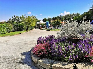 Villa Tavullia Buitenaudio-opname 9