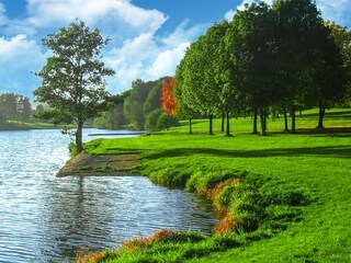 Maison de vacances Burg-Reuland Environnement 35