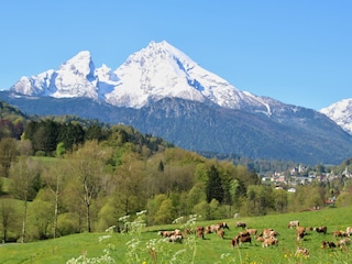 Der Watzmann