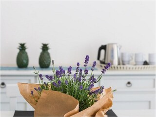 Casa per le vacanze Torre Santa Sabina Caratteristiche 11