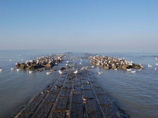 Appartamento Koksijde Ambiente 18