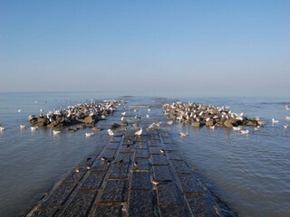 Appartement Koksijde Environnement 17