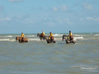 Appartamento Koksijde Ambiente 35