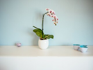 Appartamento Koksijde  38