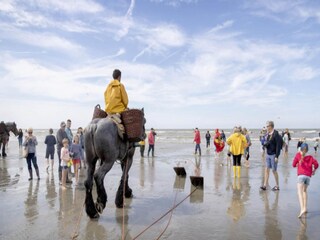 Apartment Koksijde Environment 33