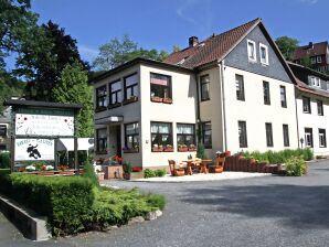 Apartment Beautiful holiday flat in the Harz Mountains - Wildemann - image1