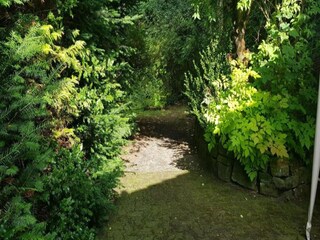 Apartment Wildemann Environment 30
