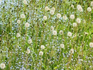 Apartment Wildemann Umgebung 33