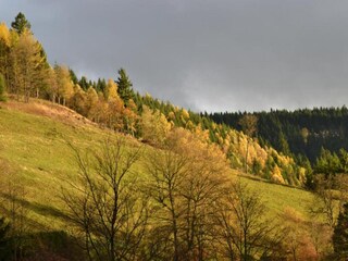 Apartment Wildemann Environment 30