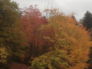 Appartement Wildemann Omgeving 20