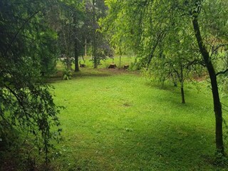 Appartement Wildemann Environnement 29