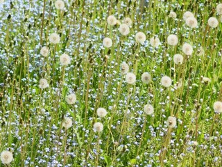 Apartment Wildemann Environment 25