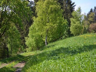 Apartment Wildemann Environment 26