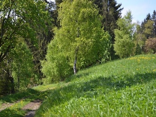 Apartment Wildemann Umgebung 24