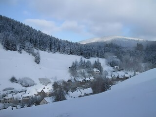 Appartement Wildemann Environnement 19