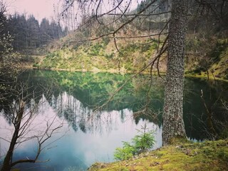 Appartement Wildemann Environnement 30