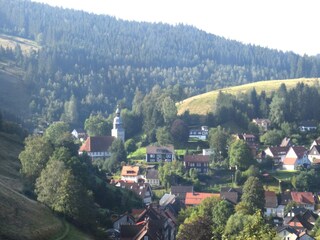 Apartment Wildemann Umgebung 35