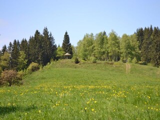 Apartment Wildemann Umgebung 36