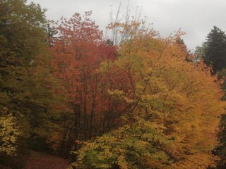 Apartment Wildemann Environment 39