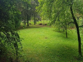 Apartment Wildemann Environment 27