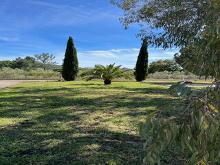 Villa Solliès-Pont Außenaufnahme 14