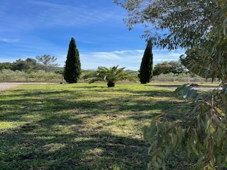 Villa Solliès-Pont Enregistrement extérieur 13