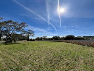Villa Solliès-Pont Außenaufnahme 2